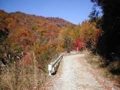 栗原川林道.jpg